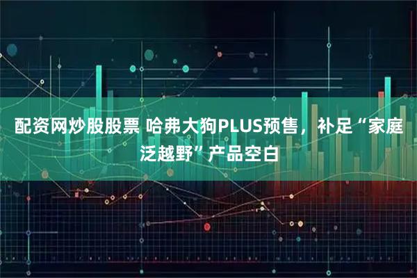 配资网炒股股票 哈弗大狗PLUS预售，补足“家庭泛越野”产品空白